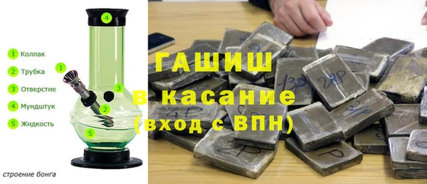 PSILOCYBIN Горно-Алтайск