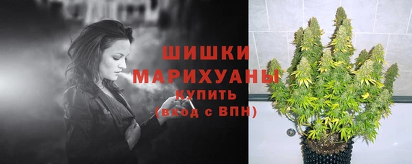 сатива Горняк