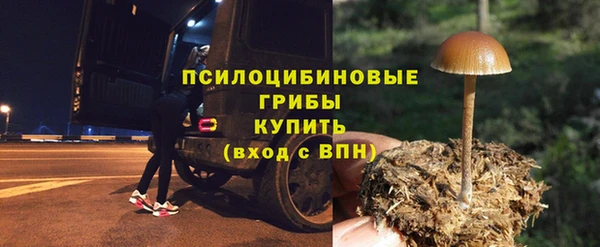 альфа пвп Гусь-Хрустальный