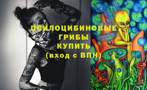 альфа пвп Гусь-Хрустальный