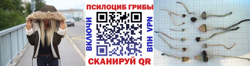 Галлюциногенные грибы ЛСД  купить  цена  Кольчугино 