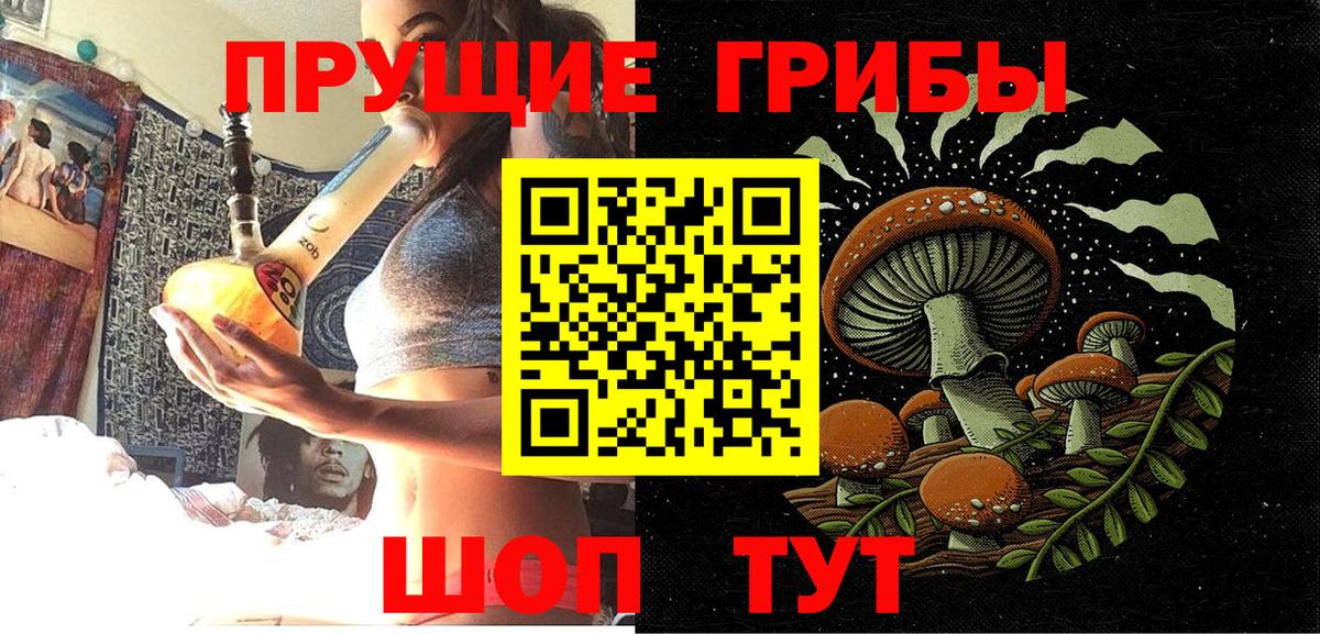 Псилоцибиновые грибы Magic Shrooms Кольчугино